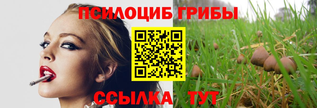 Галлюциногенные грибы Psilocybine cubensis  Вход с VPN  где продают наркотики  Лосино-Петровский 